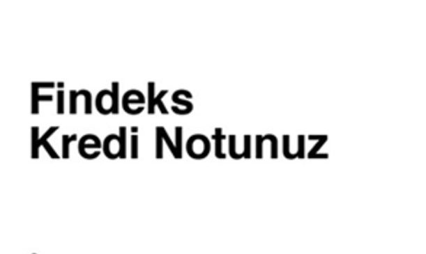 Findeks Numarası